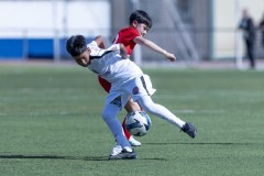 nike-elite-pama-26