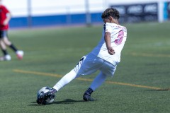nike-elite-pama-30