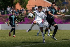 MIC25_U13_OLYMPIQUEDEMARSEILLE_ELITEACADEMYFC_35