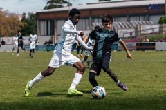 MIC25_U13_OLYMPIQUEDEMARSEILLE_ELITEACADEMYFC_39