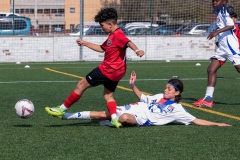 MIC25_DijousTarda_AF-81