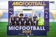 MIC25_LIO_PSG_DS-112