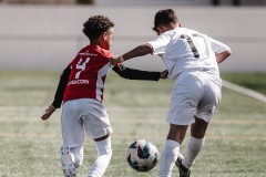 MIC26_PARKLANDSCUEMARCADELHAM_11