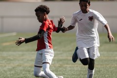 MIC26_PARKLANDSCUEMARCADELHAM_12