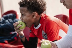 MIC26_PARKLANDSCUEMARCADELHAM_22