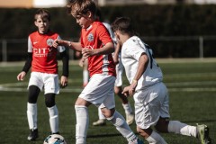 MIC26_PARKLANDSCUEMARCADELHAM_24