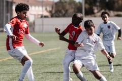 MIC26_PARKLANDSCUEMARCADELHAM_3