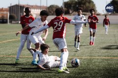 MIC26_PARKLANDSCUEMARCADELHAM_4