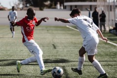 MIC26_PARKLANDSCUEMARCADELHAM_8