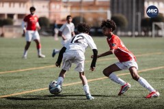 MIC26_PARKLANDSCUEMARCADELHAM_9