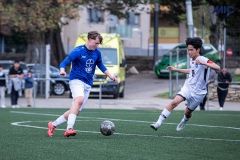 PREMIC_BAYD_BDFC_DS-13