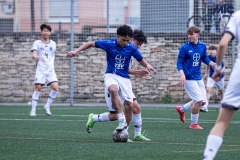 PREMIC_BAYD_BDFC_DS-14