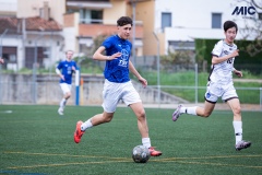 PREMIC_BAYD_BDFC_DS-18