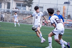 PREMIC_BAYD_BDFC_DS-19