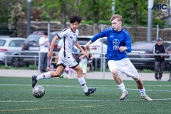 PREMIC_BAYD_BDFC_DS-6