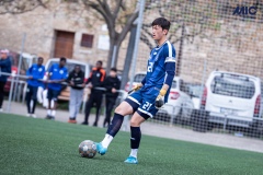 PREMIC_BAYD_BDFC_DS-7