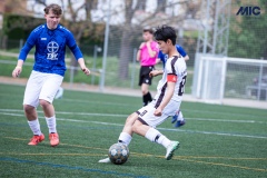 PREMIC_BAYD_BDFC_DS-8