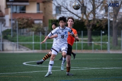 PREMIC_BDFC_ATB_DS-10