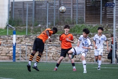 PREMIC_BDFC_ATB_DS-11