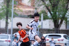 PREMIC_BDFC_ATB_DS-17