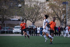 PREMIC_BDFC_ATB_DS-7