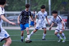 PREMIC_CEB_BDFC_DS-12