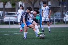 PREMIC_CEB_BDFC_DS-17