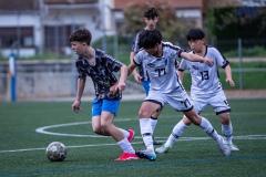 PREMIC_CEB_BDFC_DS-21