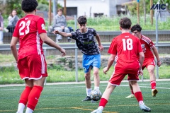 PREMIC_CEB_EAS_DS-13