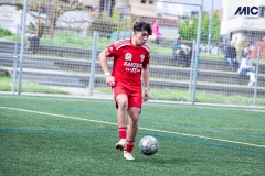 PREMIC_CEB_EAS_DS-15