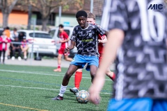 PREMIC_CEB_EAS_DS-17