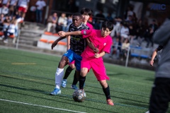 PREMIC_WAK_CEB_DS-12