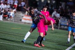 PREMIC_WAK_CEB_DS-13