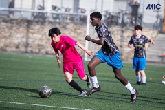 PREMIC_WAK_CEB_DS-14