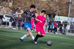 PREMIC_WAK_CEB_DS-15