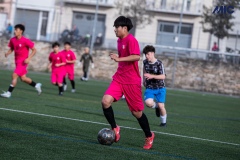 PREMIC_WAK_CEB_DS-17