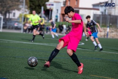 PREMIC_WAK_CEB_DS-18