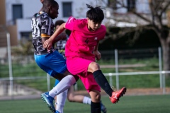 PREMIC_WAK_CEB_DS-19