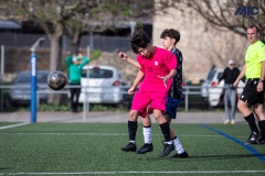 PREMIC_WAK_CEB_DS-20