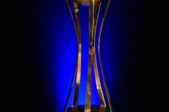 DGL_7331