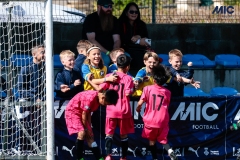 MIC25_DijousMati_AF-72