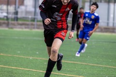 MIC26_DIMARTS_RMM_HER-20