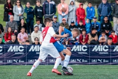 MIC25_DISMATI_AF-101