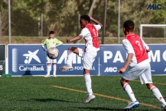 MIC25_DISMATI_AF-111