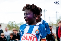 MIC25_DISMATI_AF-83