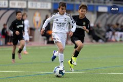 MIC26_MIC26__IC11371