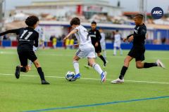 MIC26_MIC26__IC11528