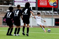 MIC26_MIC26__IC11599