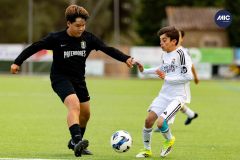 MIC26_MIC26__IC11629