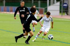 MIC26_MIC26__IC11755